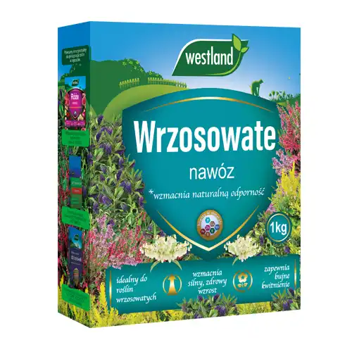 Nawóz do do roślin wrzosowatych Westland 1kg